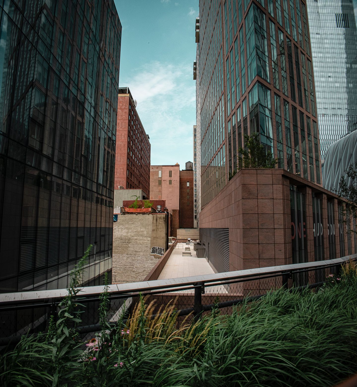The High Line is a great free activity in NYC that offers a walking path and stunning views along the way