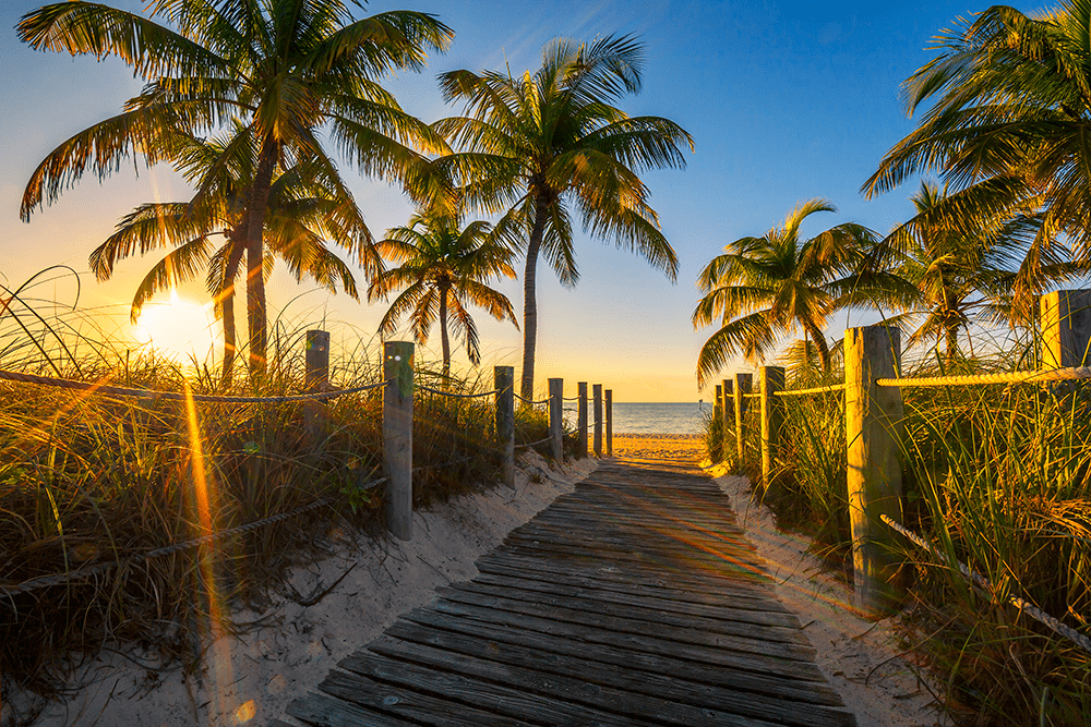 Palm tree lined walkway to the beach in Key West Florida at sunset