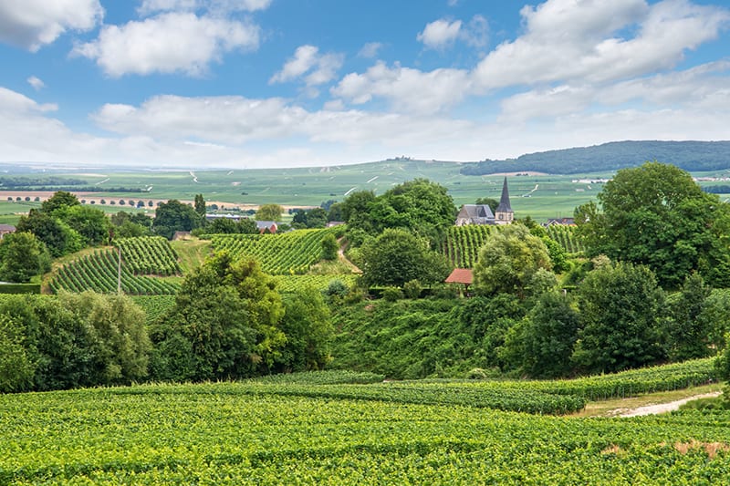 Montagne de Reims in Champagne France