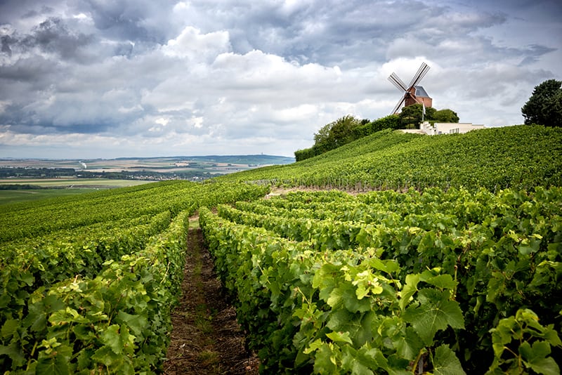Vineyards scenery with beautiful view and windmill in Champagne France