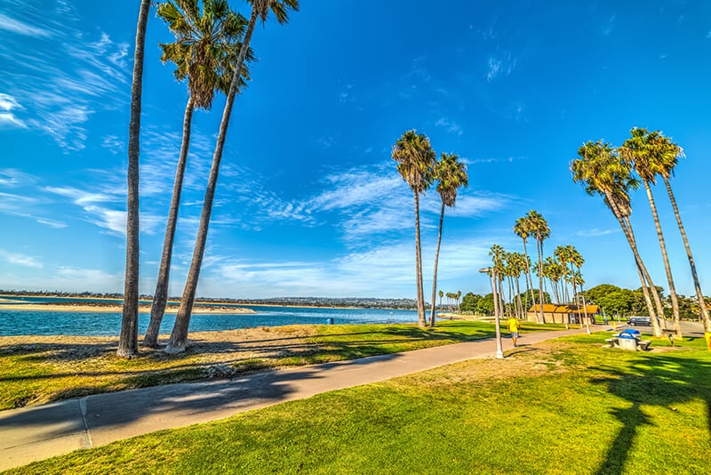 Palm trees on the path of beautiful Mission Bay. San Diego, California