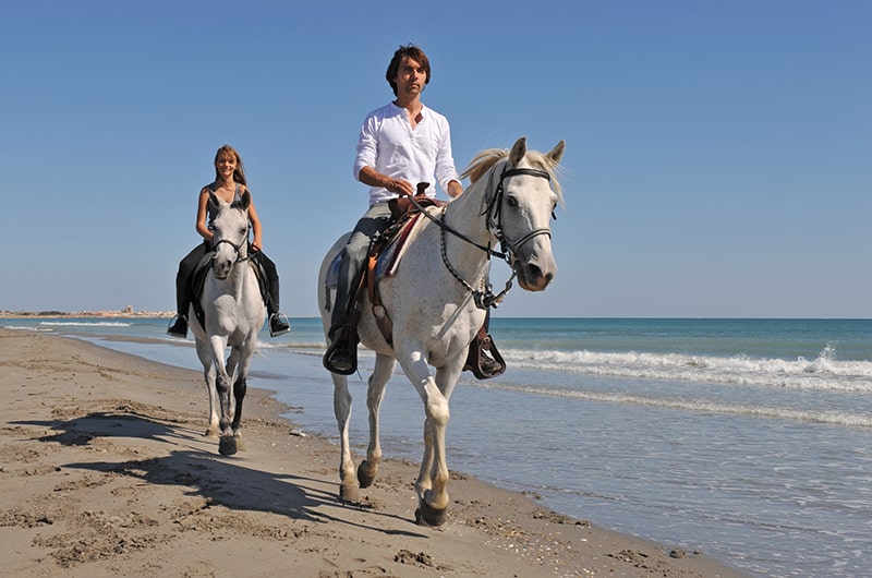 Two riders horseback riding on the beach