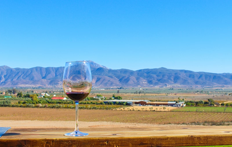Valle de Guadalupe winery - incredible views