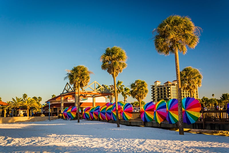 Palm trees and colorful beach umbrellas in Clearwater Beach, Florida.
