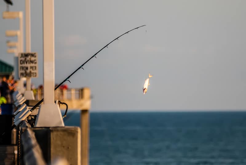 fishing off okaloosa pier in florida - one of the best places to fish