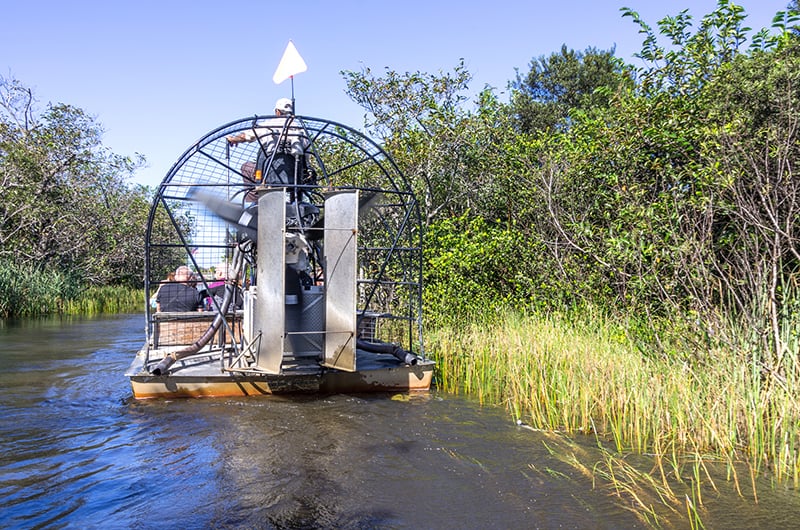 Airboat tour in the Everglades,Florida - an incredible private boat tour near Miami