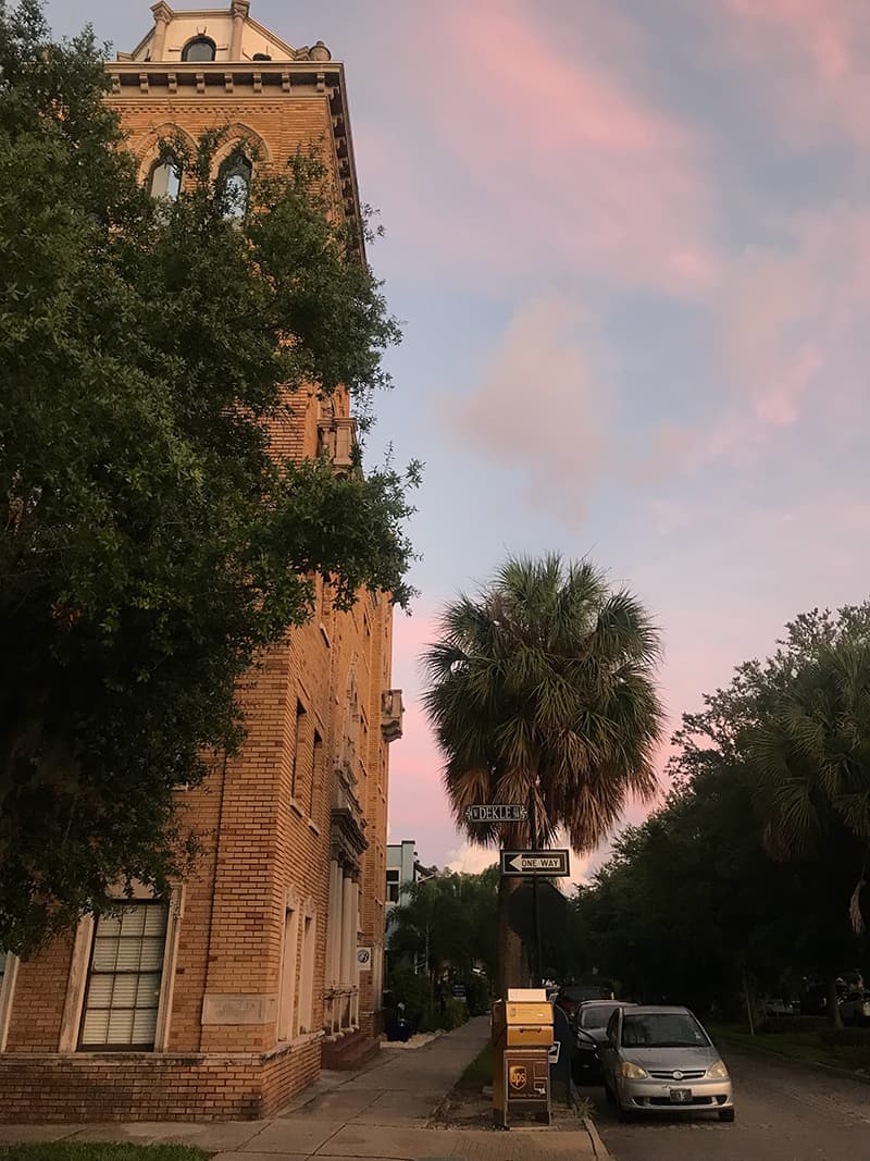 A beautiful sunset on a street with incredible architecture & palm trees in South Tampa