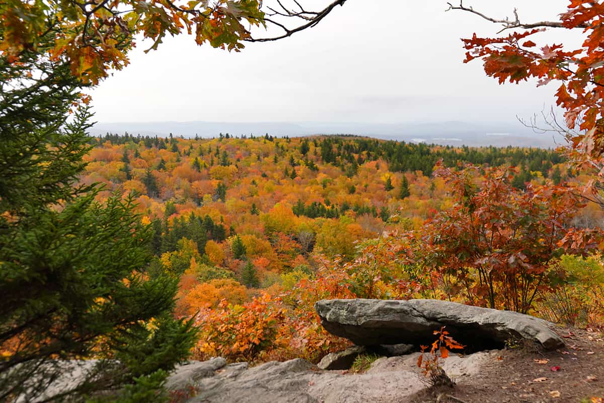 27 Best Fall Activities in Massachusetts + Festivals & Foliage