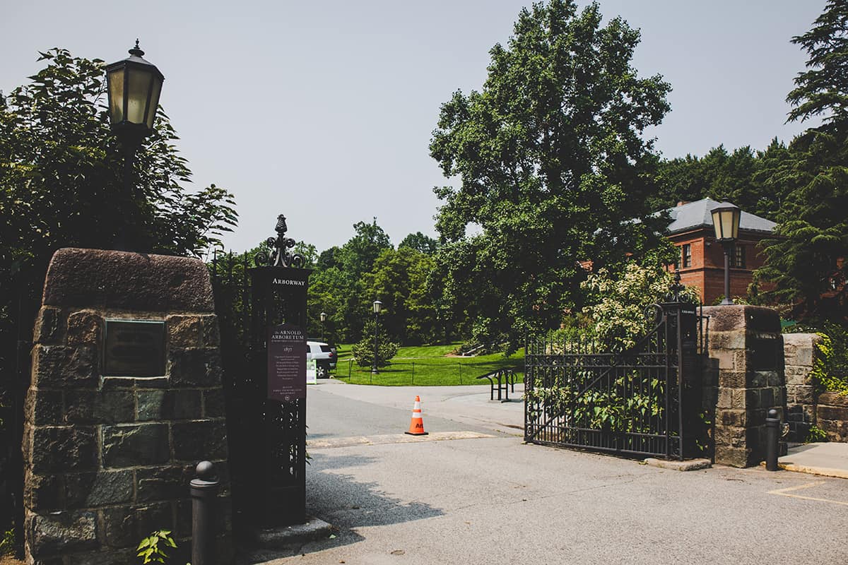 Arnold Arboretum in Boston Massachusetts entrance