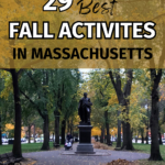 Comm Ave in the fall with overlay text 29 Best Fall Activities in Massachusetts