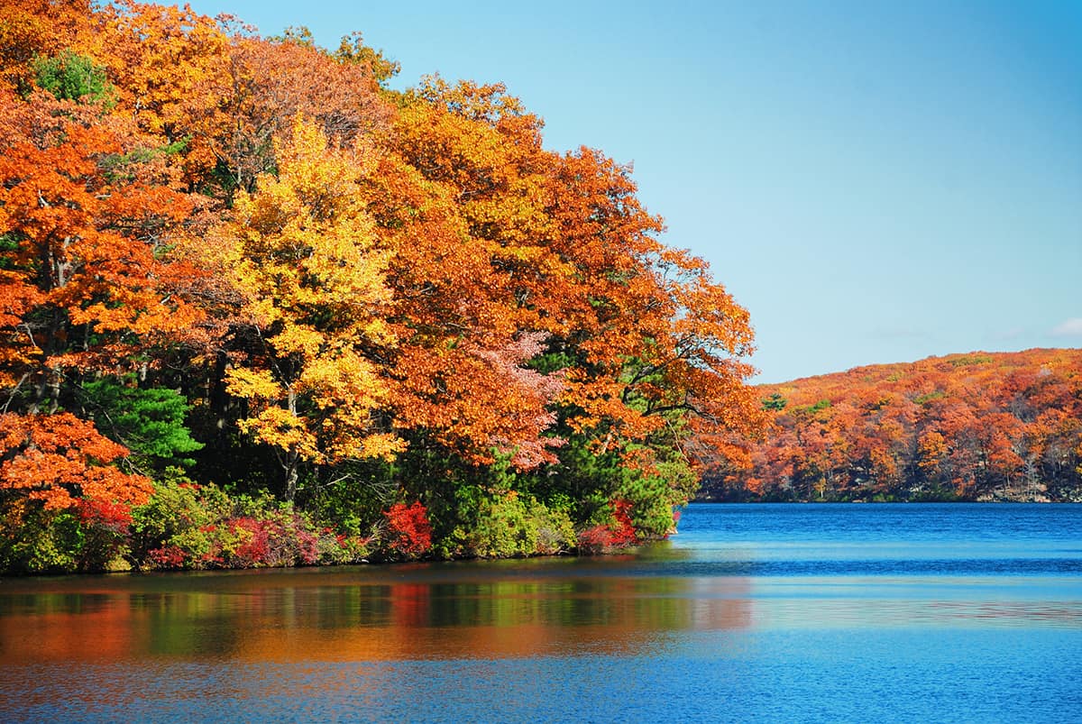Autumn colorful foliage over lake with beautiful woods