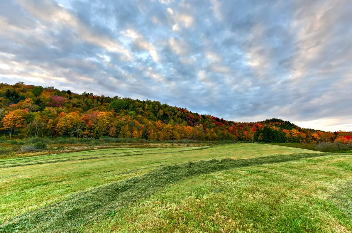 Peak fall foliage in Vermont against a dramatic sky.
