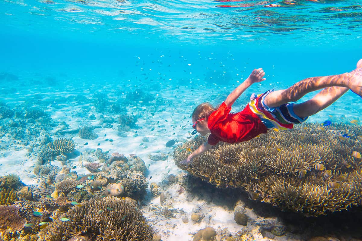 Snorkeling underwater with clear water and reef