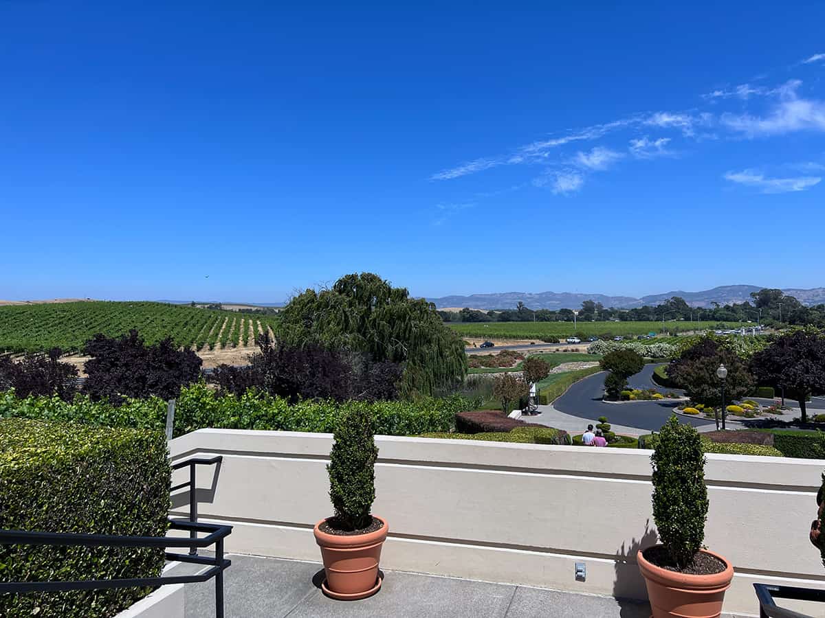 From Domaine Carneros winery overlooking the vineyards and views in Napa