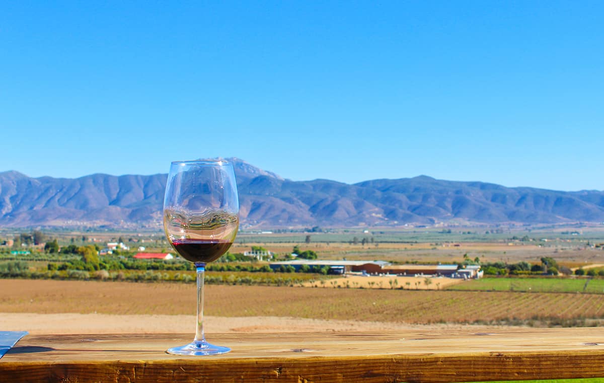 Wine glass with red wine in front of a beautiful vineyard background in Valle de Guadalupe Mexico